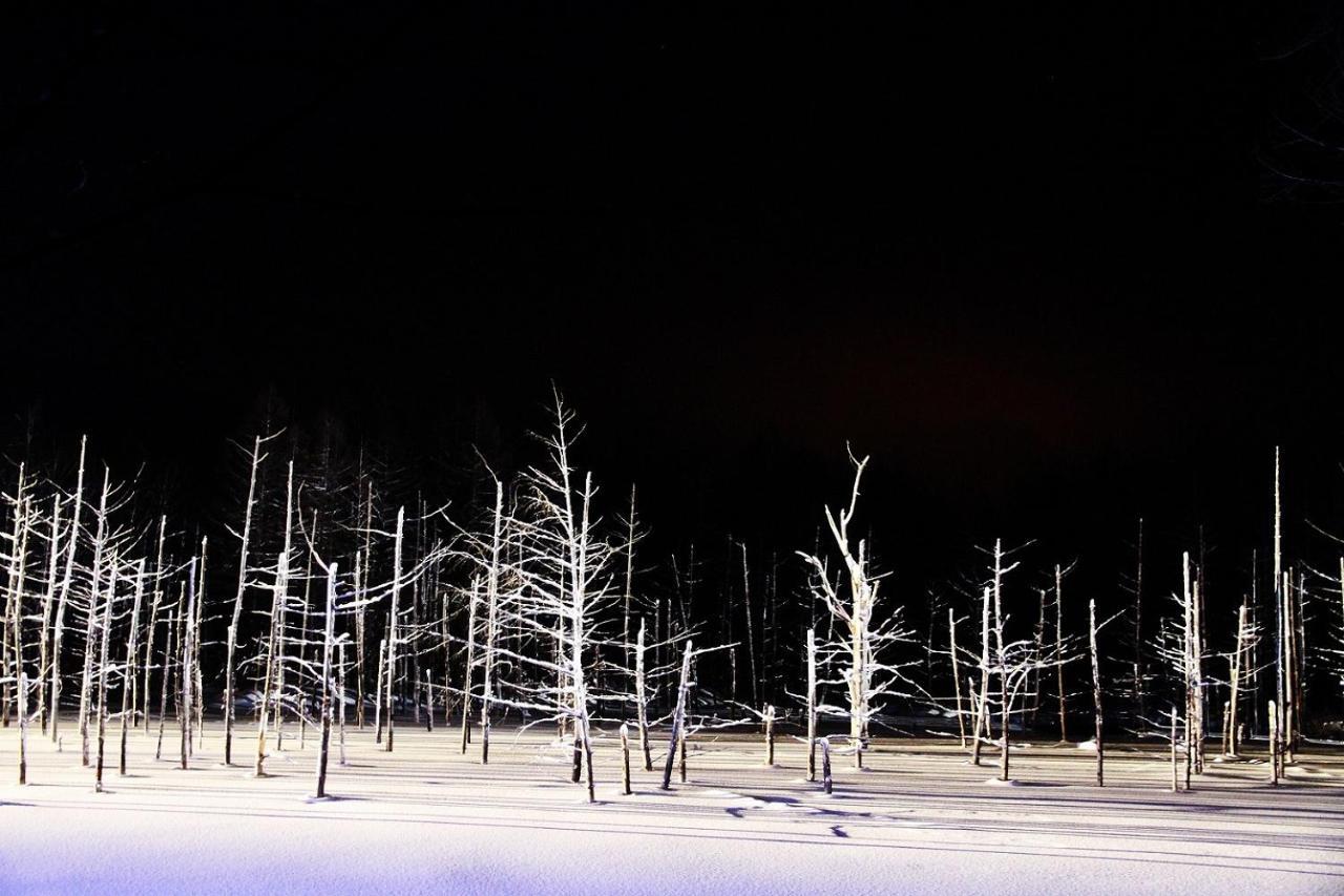 Stay In Tokiwa Asahikawa Εξωτερικό φωτογραφία
